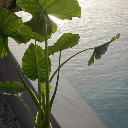 Neromai Cave Luxury Villa